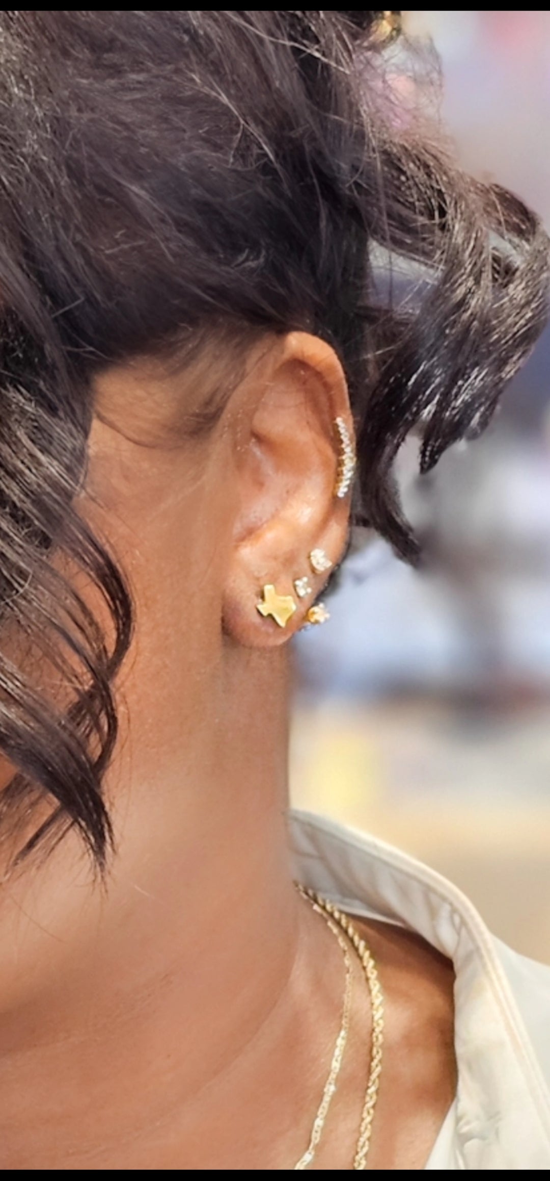 Texas Earrings